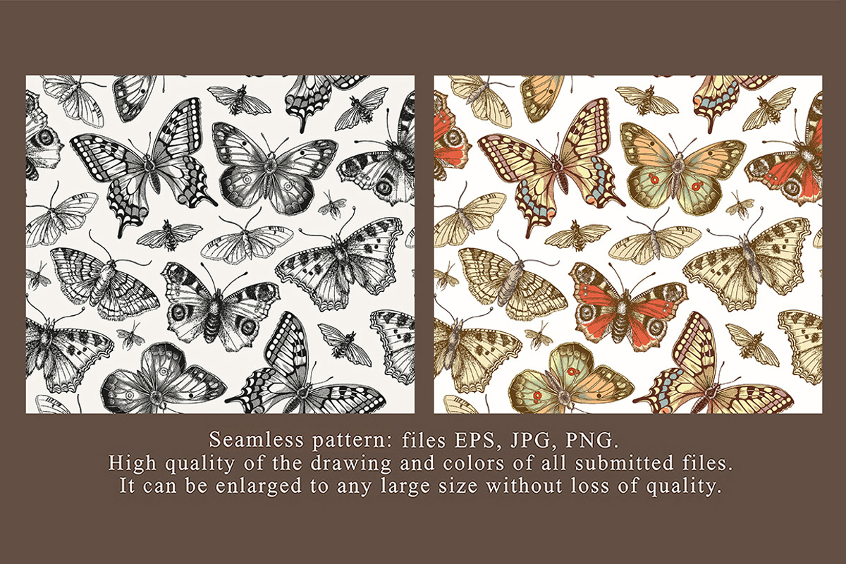 Seamless Butterflies Moth insects, a Pattern Graphic by Vintage (Photo 2 of 13)
