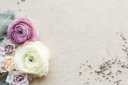 Purple Ranunculus styled stock photo