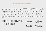 Meladishya, a Sans Serif Font by Differentialtype (Thumbnail 5 of 9)