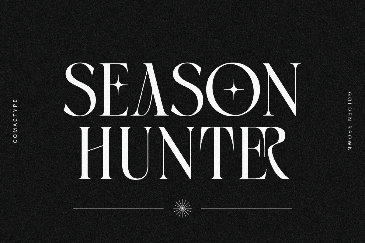 Golden Brown - Modern Serif Typeface, a Serif Font by Comactype Foundry (Photo 16 of 20)