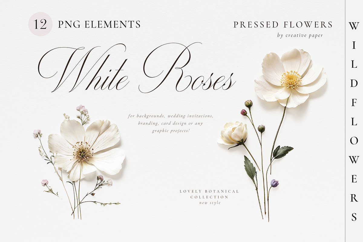 Pressed Flowers (Png) Elements, a Background Graphic by by creative paper (Photo 1 of 13)