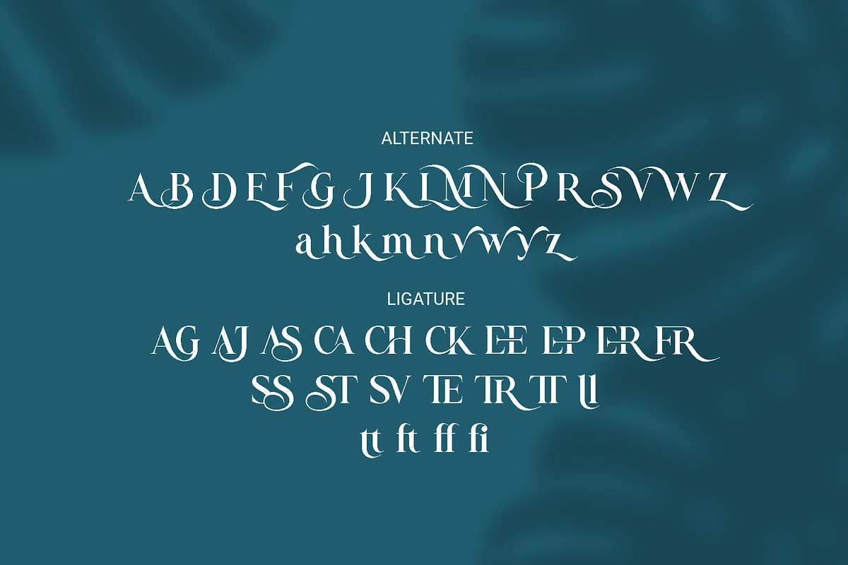 Bezoria - Elegant Serif Font, a Sans Serif Font by RHD Creative Studio (Photo 9 of 9)