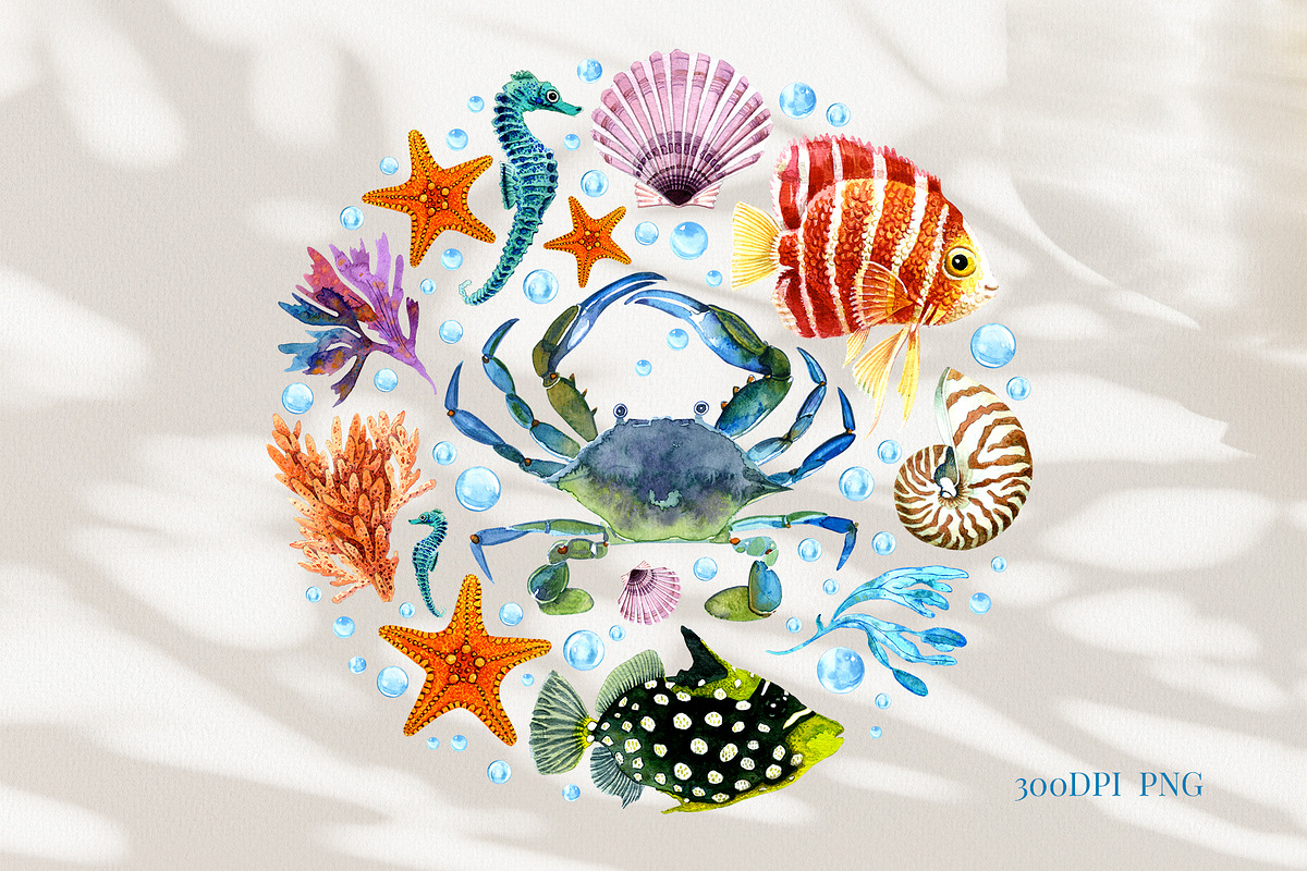 Marine Watercolor Clipart, an Animal Illustration by YarovaArt (Photo 2 of 19)