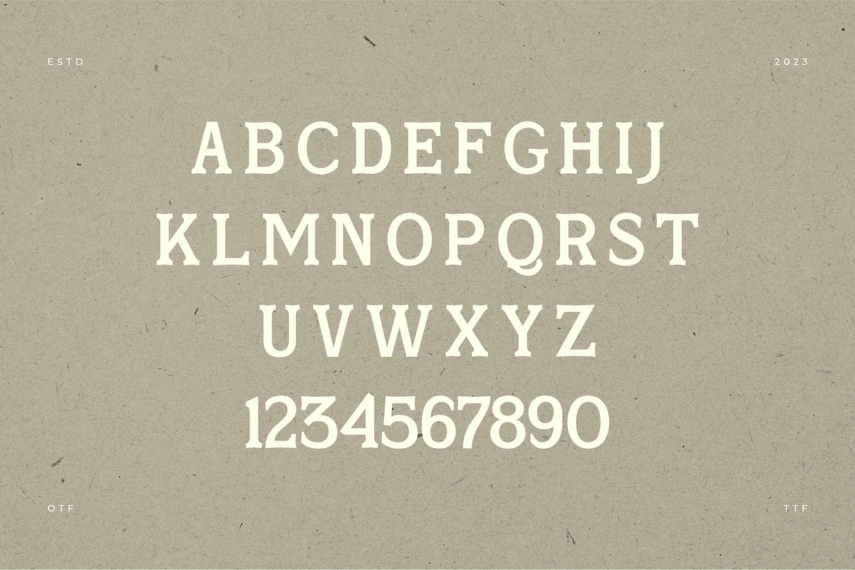 Skinner Morgan A Organic Typeface, a Serif Font by Storytype Studio (Photo 15 of 18)
