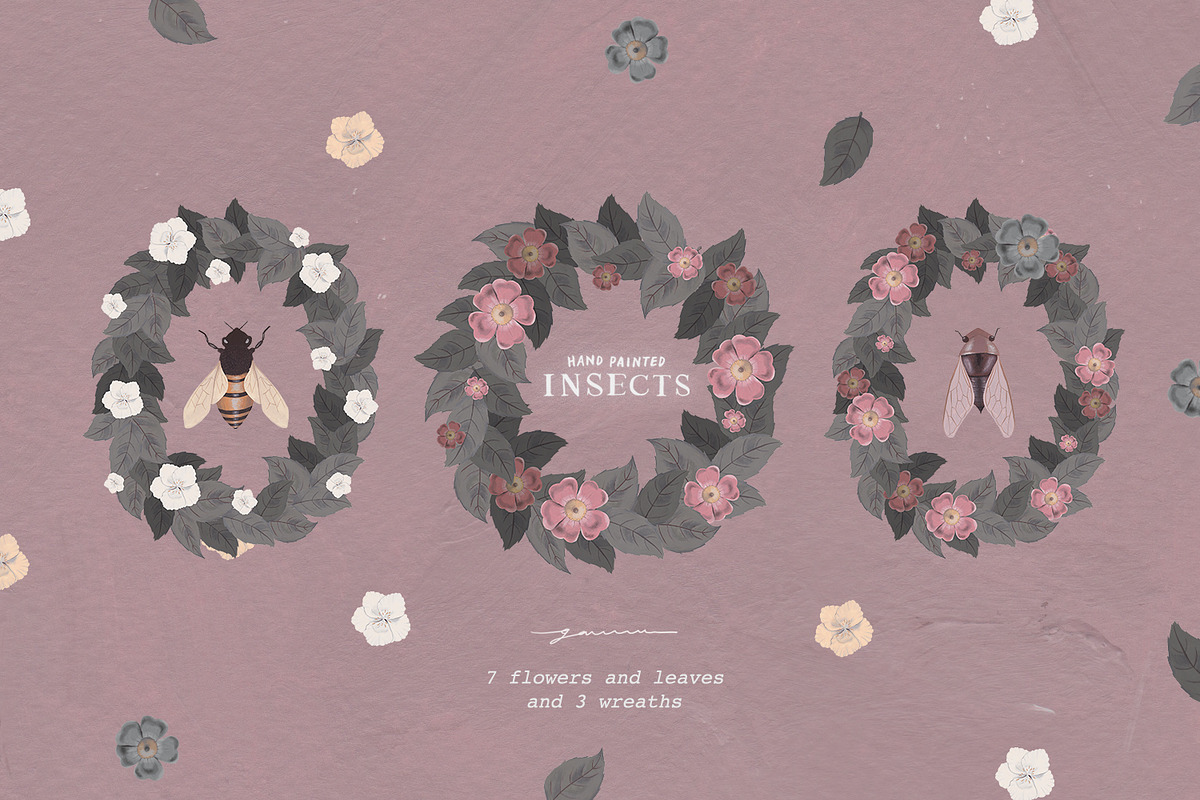 Hand Painted Insects Clipart, an Illustration by gamm (Photo 3 of 9)
