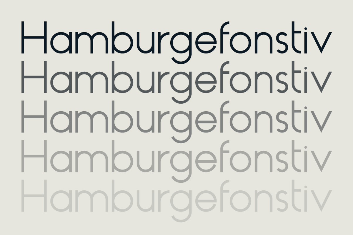 HAUS Sans Regular preview 2