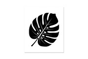 Floral Ornament Silhouette Bundle, an Illustration by BIPLOB EXPERT (Thumbnail 6 of 51)