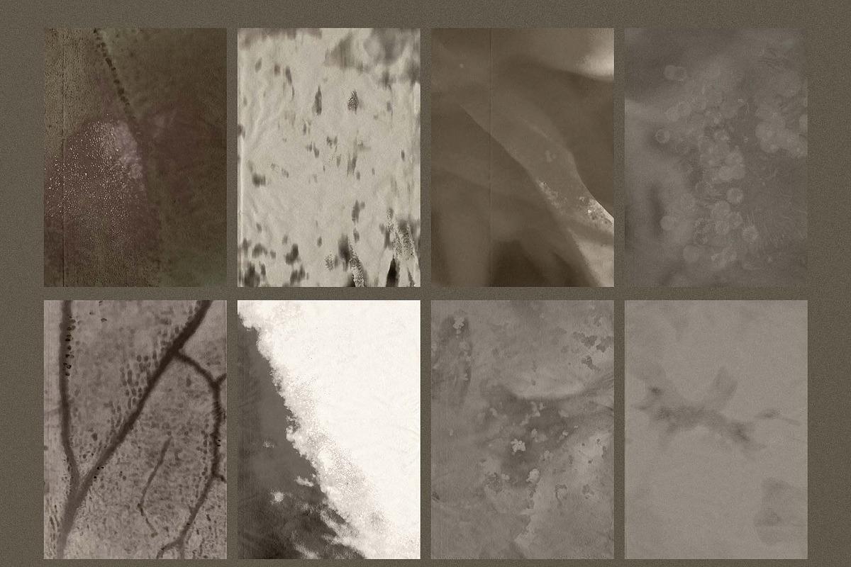 Botanical Patina Backgrounds, a Background Graphic by DigARTbyHavroshka (Photo 8 of 12)
