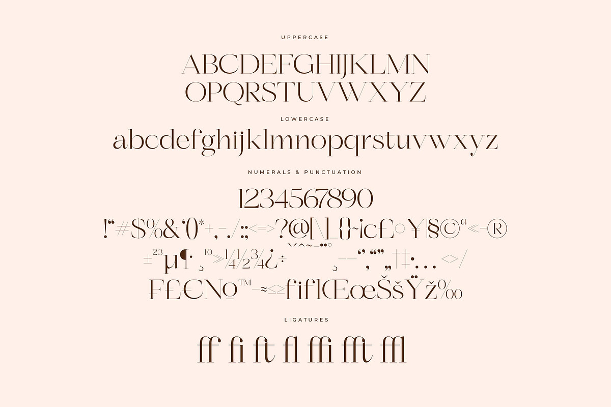 Berloja Satfline Modern Serif Font, a Serif Font by Letterena Studios (Photo 13 of 15)