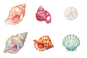 Whimsical Summer Seashell Clipart, an Illustration by DreamPrint404 (Thumbnail 3 of 6)