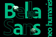Bella Sans (family font), a Sans Serif Font by PeanutButter Type (Thumbnail 15 of 18)