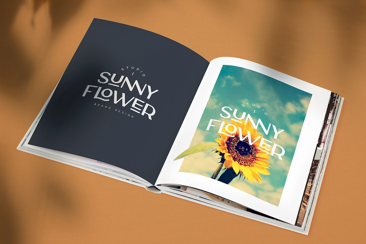Carla Sans - Elegant Typeface, a Sans Serif Font by Creative Corner (Photo 19 of 26)