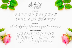 Bridgesty - Lovely Calligraphy Font