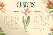 Chatos Original, a Serif Font by Burntilldead (Thumbnail 10 of 11)