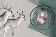 WOODLAND LOVE watercolor set, an Animal Illustration by Natali Smolova (Thumbnail 10 of 10)