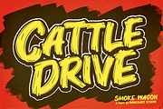 Smoke Wagon - A Western Brush Font, a Sans Serif Font by Wingsart Studio (Thumbnail 6 of 15)
