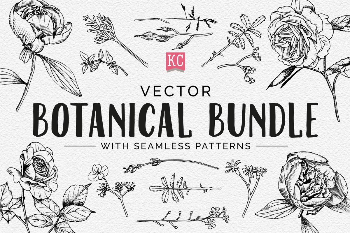 Vector Botanical Illustrations, an Illustration by Katy Clemmans (Photo 1 of 8)