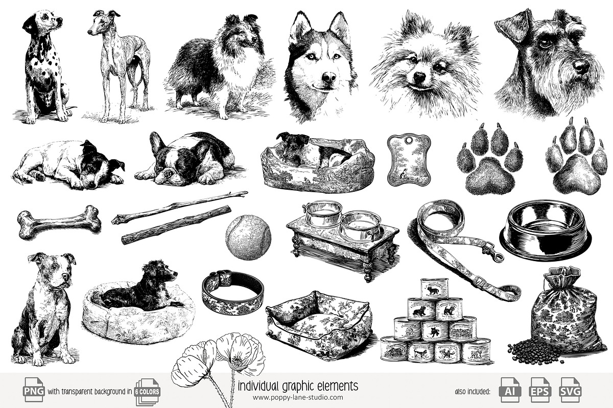 95 line art Dogs clip art, an Animal Illustration by Poppy Lane Studio (Photo 8 of 11)