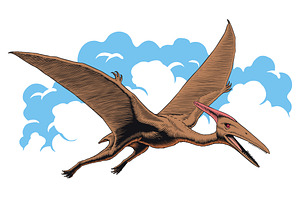 Pterodactyl or pteranodon flying