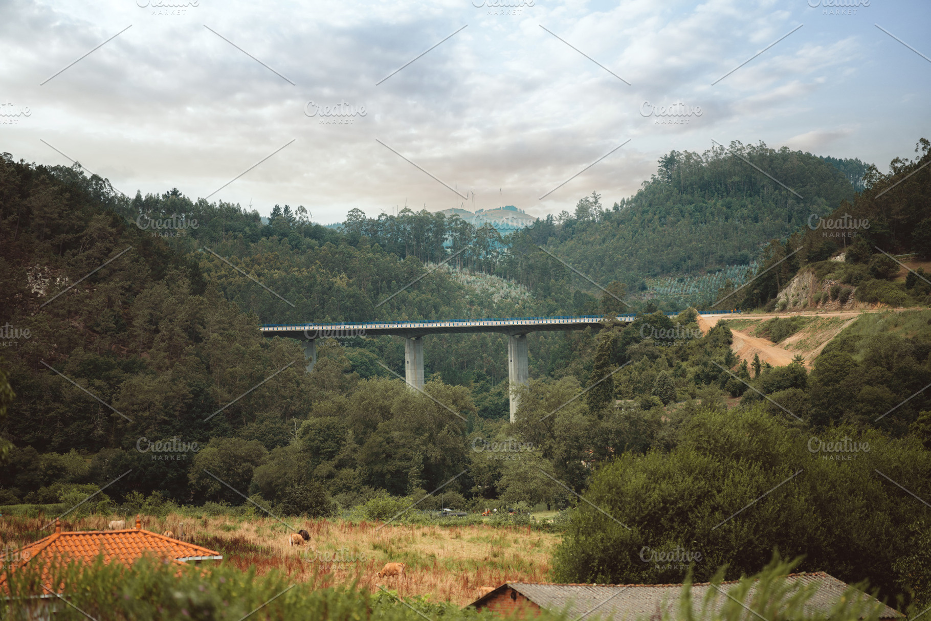 Bridge over green Spanish valley, a Transportation Photo by SkyNext