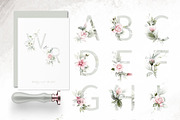 Amanda | Botanical set | 205 images, an Illustration by Karma (Thumbnail 9 of 27)