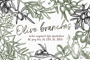 Olive branches vector illustration, a Food Illustration by Ann Astro
