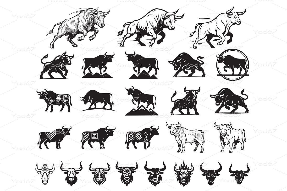Vector set of bulls, wild animals., an Animal Illustration by yod67