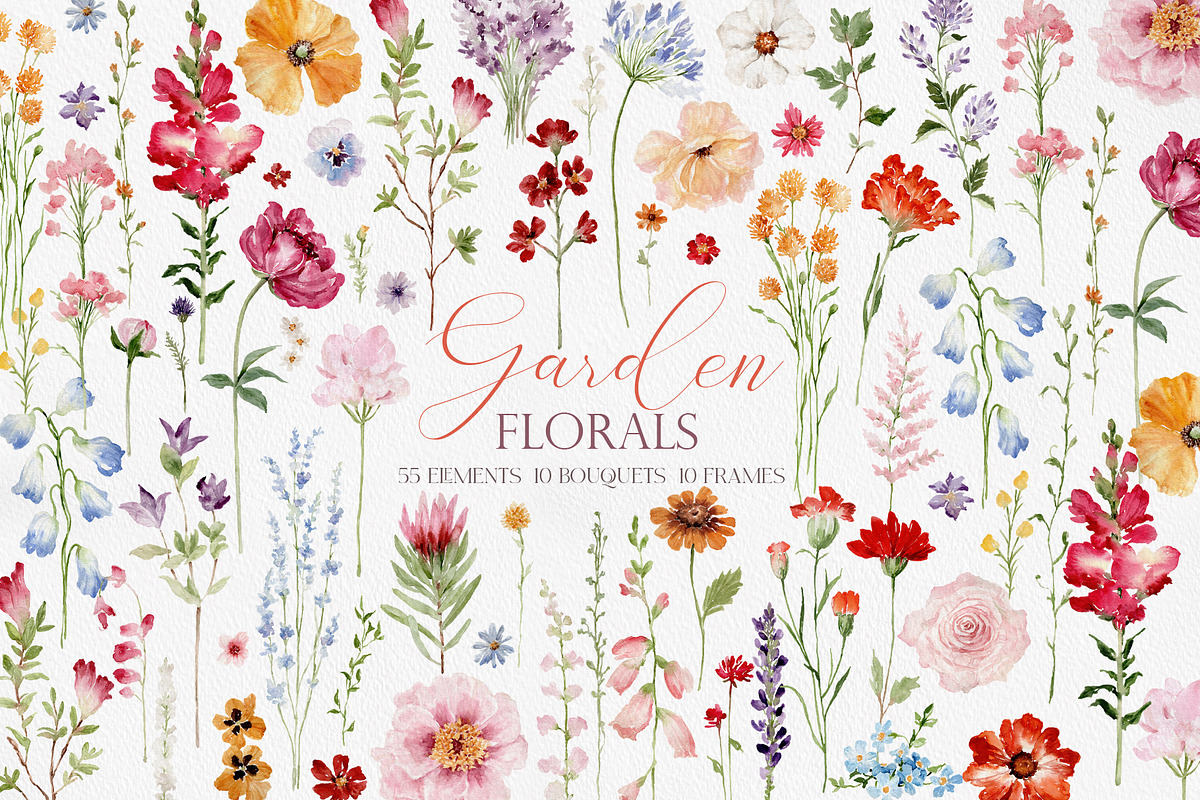 Watercolor Flower -GARDEN WILDFLOWER, a Decorative Illustration by Beigetime (Photo 1 of 15)