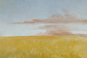 Antique Landscapes, a Texture Graphic by Blue Line Design (Thumbnail 14 of 21)