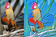 Digital Painting Photoshop Action, an Action Add-On by MRI STUDIO (Thumbnail 25 of 25)