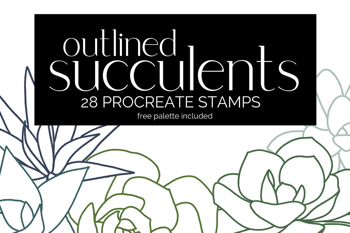 Succulent Outline Stamp Brushes, a Brush Add-On by AureDesignCo (Photo 1 of 3)