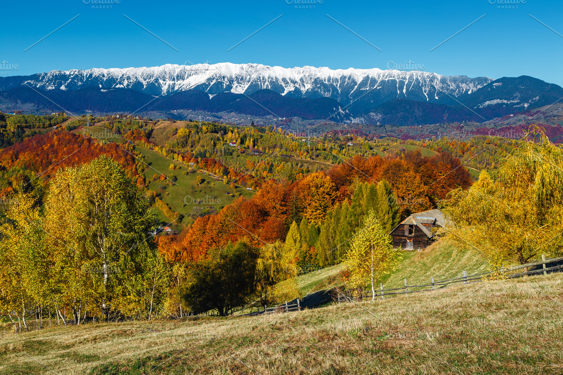 Autumn landscape with colorful trees, a Nature Photo by Alpine Dreams