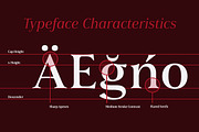 Civane Serif, a Font by insigne (Thumbnail 2 of 5)
