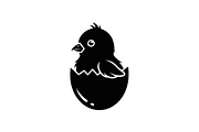 Cute Easter Chick Hatch Vector Bundl, an Illustration by jahid234 (Thumbnail 20 of 51)