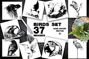 BUNDLE WILD ANIMALS VECTOR, an Animal Illustration by AnastasiyaOleynik (Thumbnail 20 of 20)