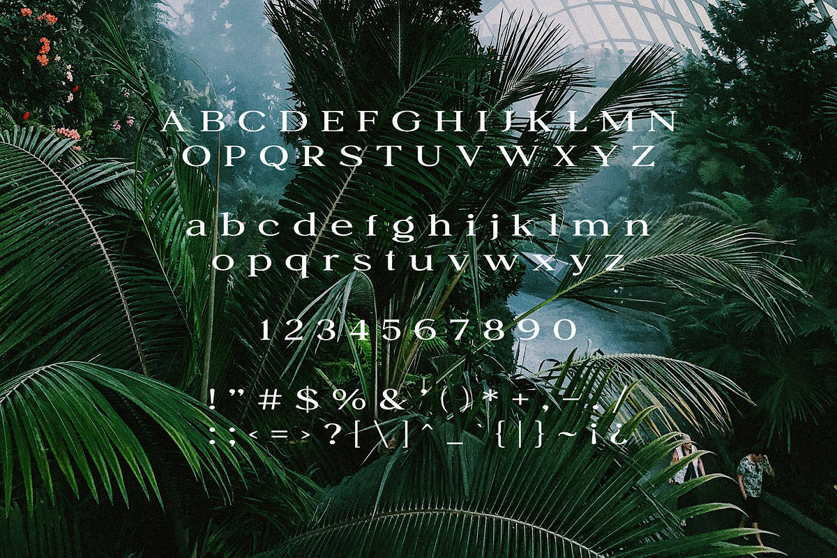 Petrichor - Expanded Serif, a Serif Font by Schrifted Type (Photo 7 of 8)