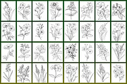 Wild Flowers Coloring Page, a Graphic by Forhadx5 (Thumbnail 3 of 15)
