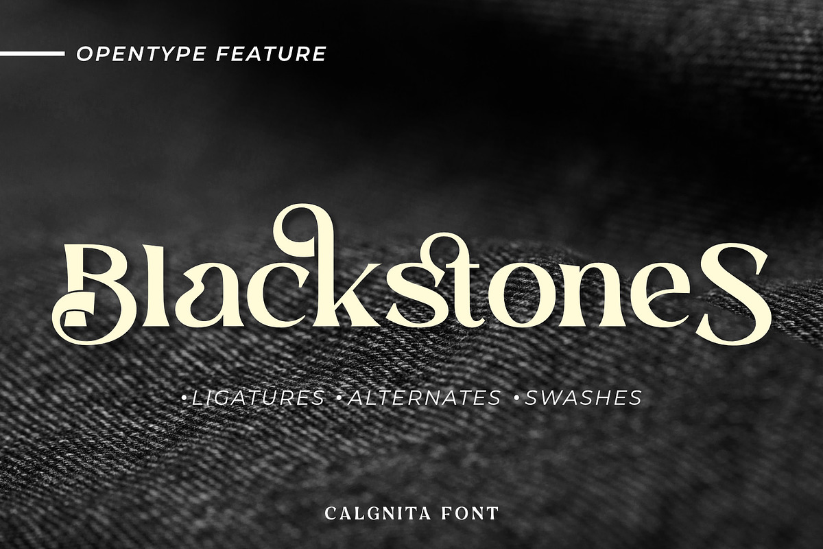 Calgnita | Modern Classic Serif, a Serif Font by Andrimada Creative (Photo 9 of 11)