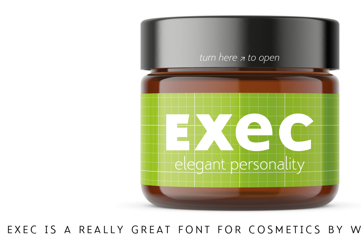 Exec, a Sans Serif Font by Wiescher-Design (Photo 9 of 12)
