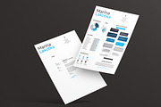 Inforgraphic Resume CV, a Resume Template by iDoodle Studio (Thumbnail 4 of 6)
