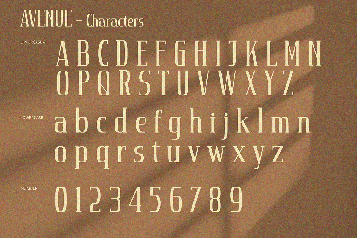 Avenue - Serif Font, a Serif Font by Alpaprana (Photo 4 of 11)