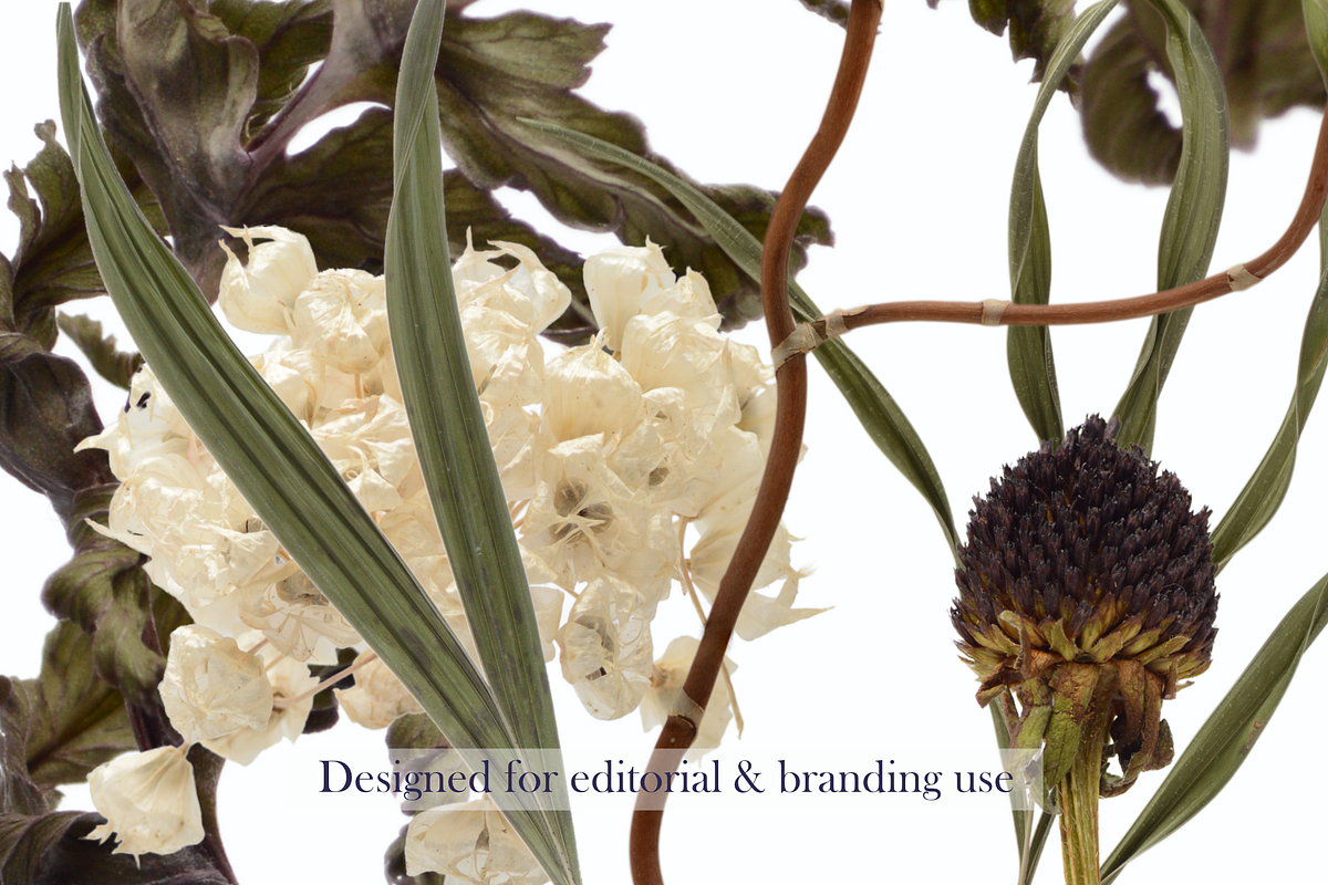 Airy Meadow Close Up Florals, an Object Graphic by Aga Silva (Photo 6 of 6)