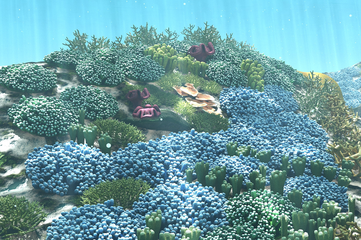 3D Cartoon Underwater Coral Reef Hab, an Environmental 3D Model by NOMODOL (Photo 7 of 24)