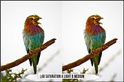 LAB Color Vol. 3 - Lab Variations, a Plug-in Add-On by Raztrend (Thumbnail 4 of 30)