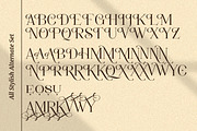 Movich | Uniquely Serif Font, a Serif Font by anOra.std (Thumbnail 10 of 12)