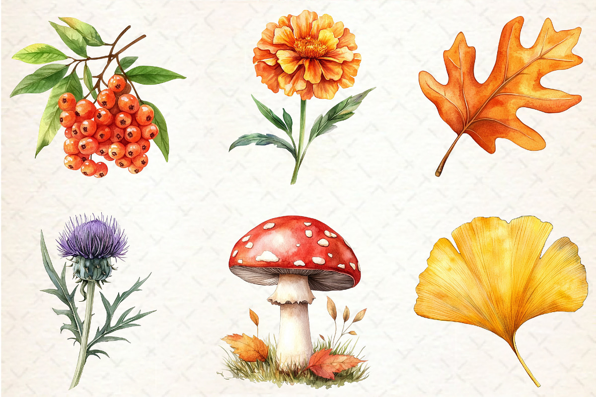 Watercolor Fall Botanical Clipart, an Illustration by Rose Art (Photo 4 of 4)