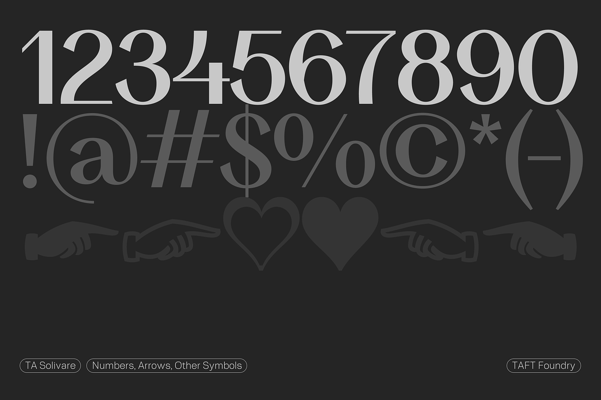 TA Solivare Variable, a Sans Serif Font by TAFT Foundry (Photo 10 of 15)