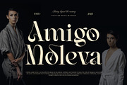 Ranelo || Modern Elegant Serif Font, a Serif Font by Ermedia Studio (Thumbnail 4 of 10)