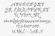 Leafyction, a Font by Digital Typeface Studio (Thumbnail 3 of 8)
