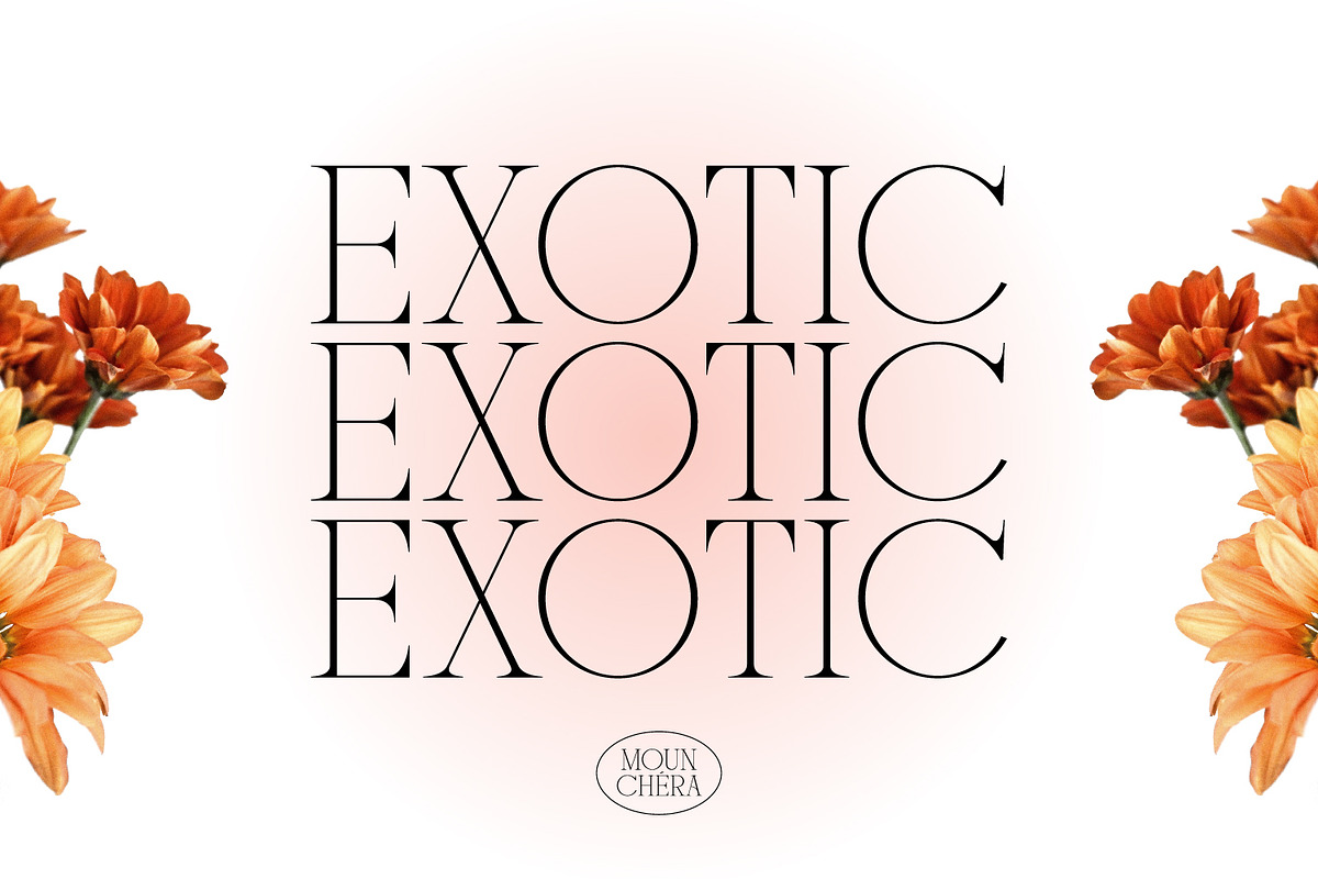 Mounchera - Art Deco Serif, a Serif Font by Variatype (Photo 4 of 14)